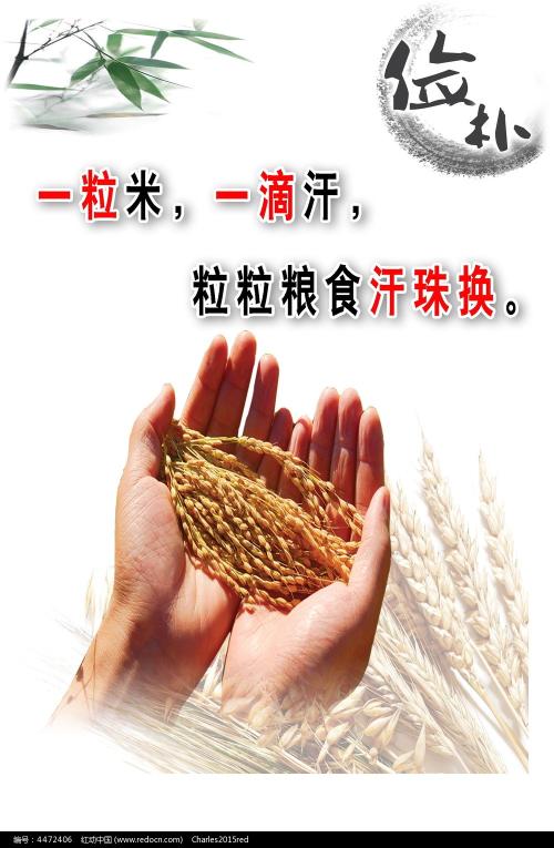 北陸大学 Architecture Degree Certificate